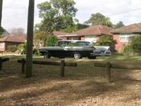 DSCN5639.jpg