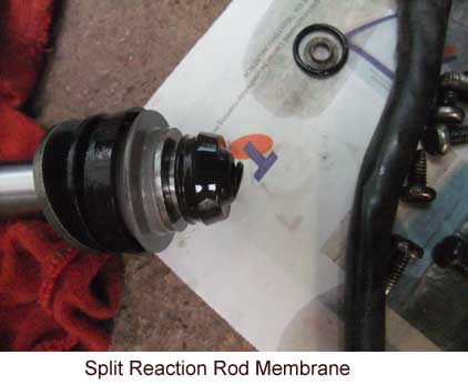 Split Membrane