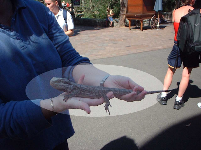 Zoo Walk 27 February 2003