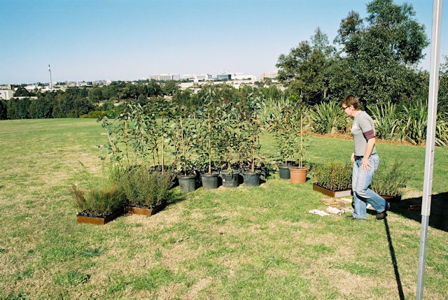 SPAIDS Tree Planting 2005