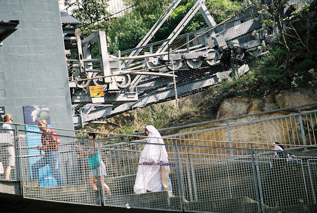 Zoo Walk 2006