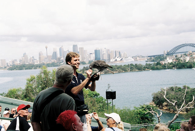 Zoo Walk 2006