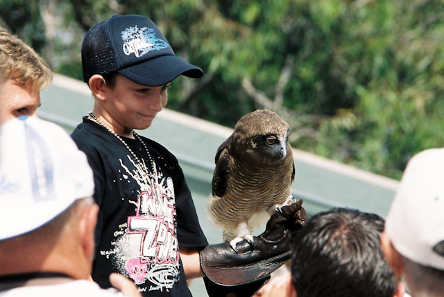 Zoo Walk 2006