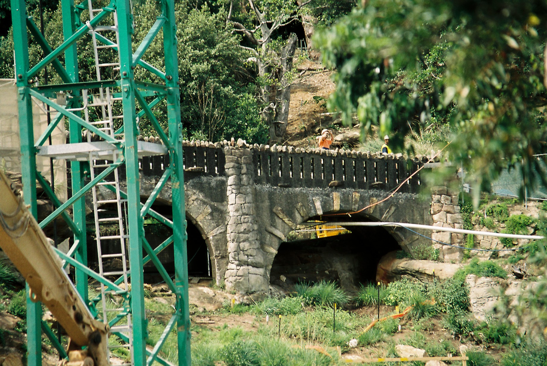 Zoo Walk 2006