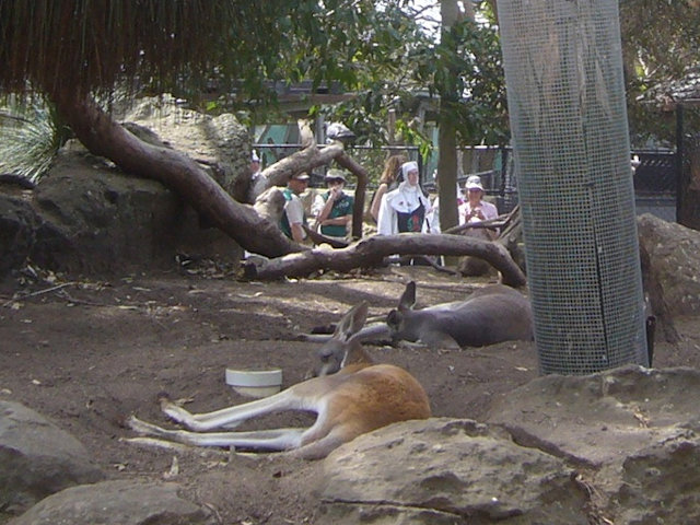 Zoo Walk 3/3/2011
