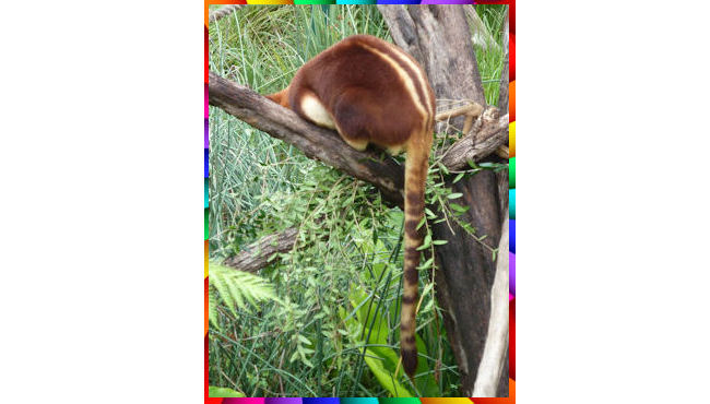 Zoo Walk 27 February 2014