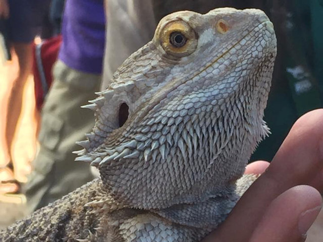 Zoo Walk 2/3/2017