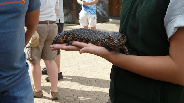 Zoo Walk 2018