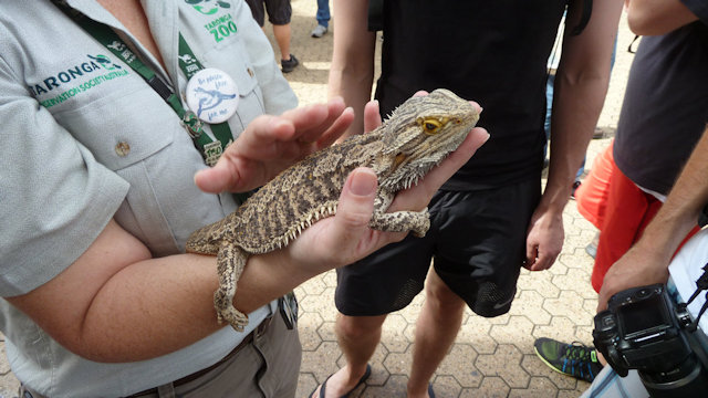 Zoo Walk 2018