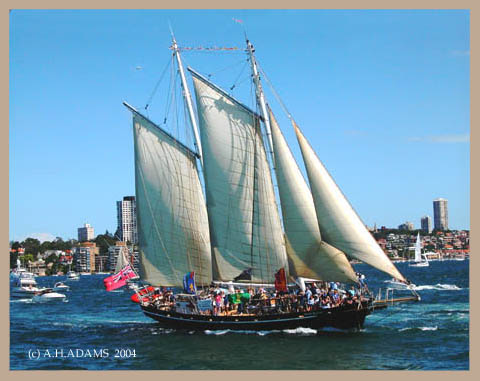 SOUTH PASSAGE  AUSTRALIA DAY 2004